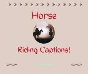 Best Horse Riding Captions for Instagram
