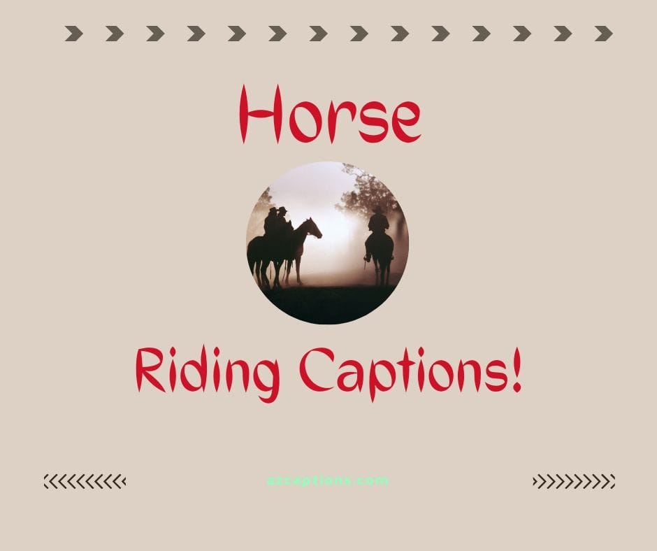 Best Horse Riding Captions for Instagram