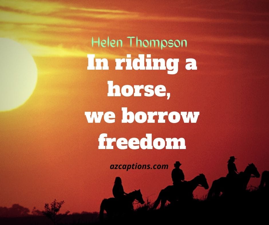 Horse Riding Quotes for Instagram