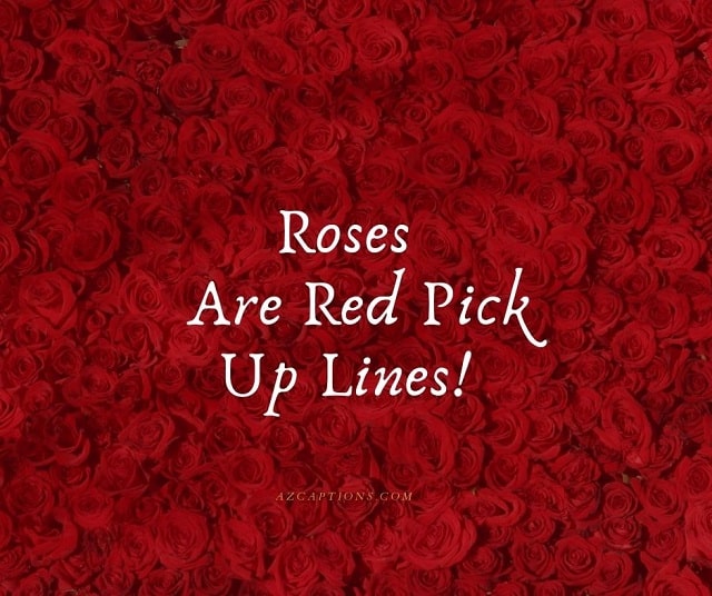 Best 45+ Roses Are Red Pick Up Lines to Impress Your Crush!