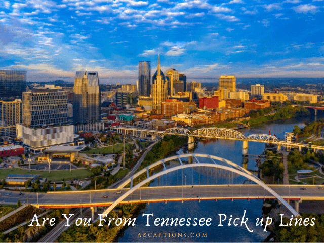 Are You From Tennessee Pick up Lines