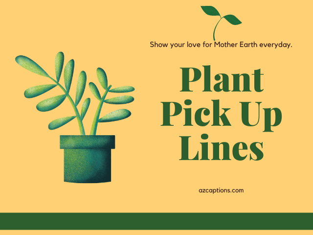 Best Plant pick up lines that can be used