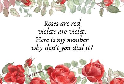 Romantic and witty roses pick up lines