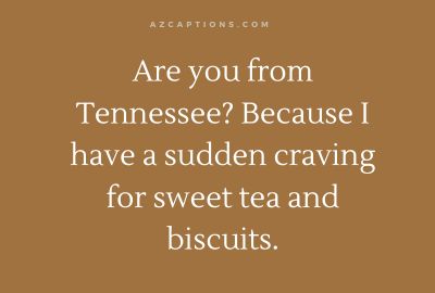 More Are You From Tennessee Pick Up Lines