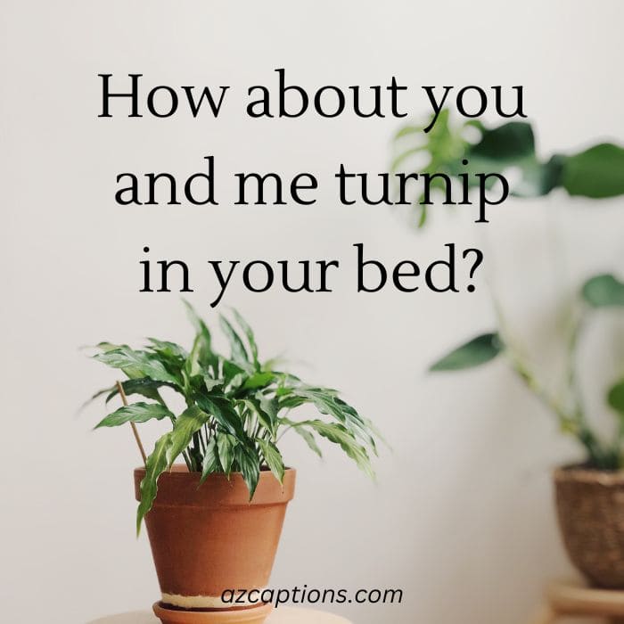 plant pick up lines reddit