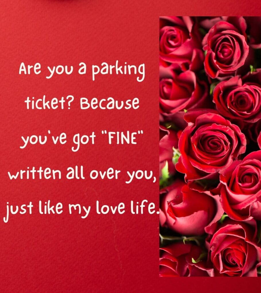 Bad valentines Pick Up Lines Funny