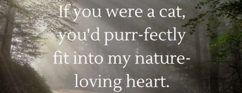 Cute Nature Pick Up Lines for Her and Him
