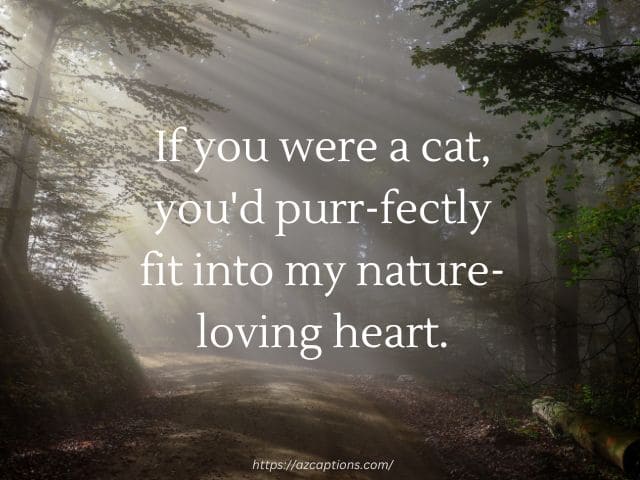 Cute Nature Pick Up Lines for Her and Him