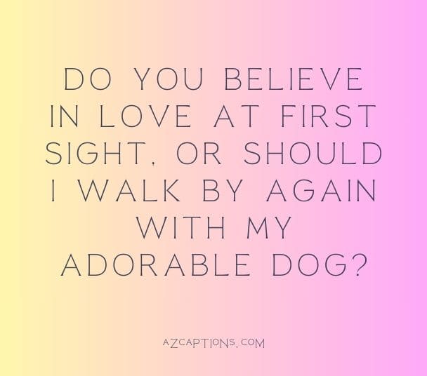Dog Pick Up Lines Text