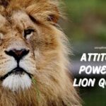 Attitude Powerful Lion Quotes