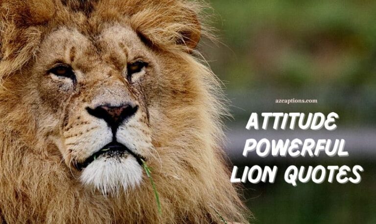 Attitude Powerful Lion Quotes
