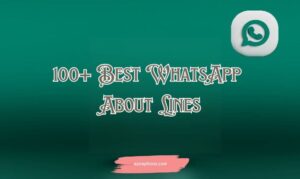WhatsApp About Lines