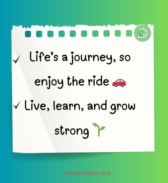 WhatsApp about lines life