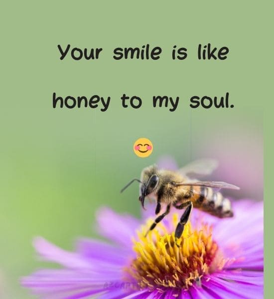 Bee Puns Compliments