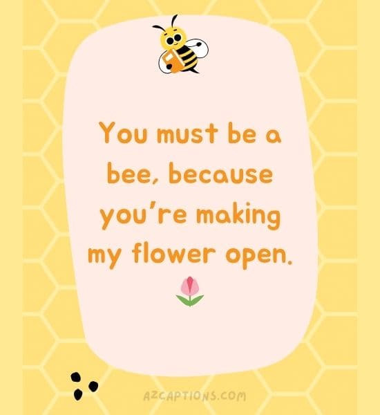 Bee Puns Dirty