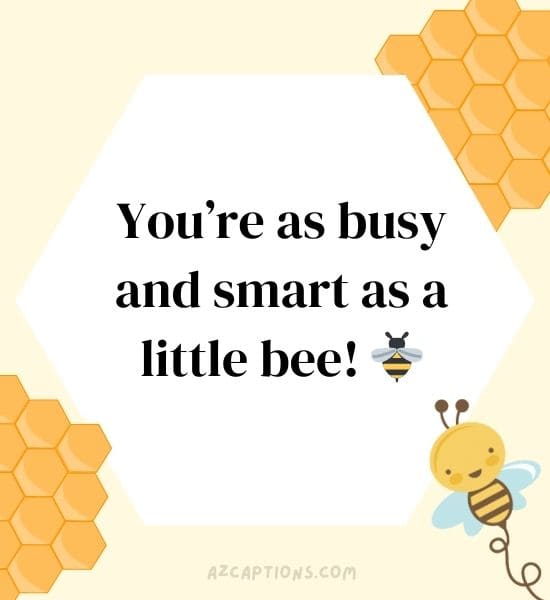 Bee Puns for Kids