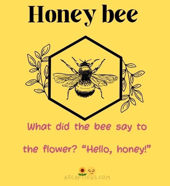 Funny Bee Puns