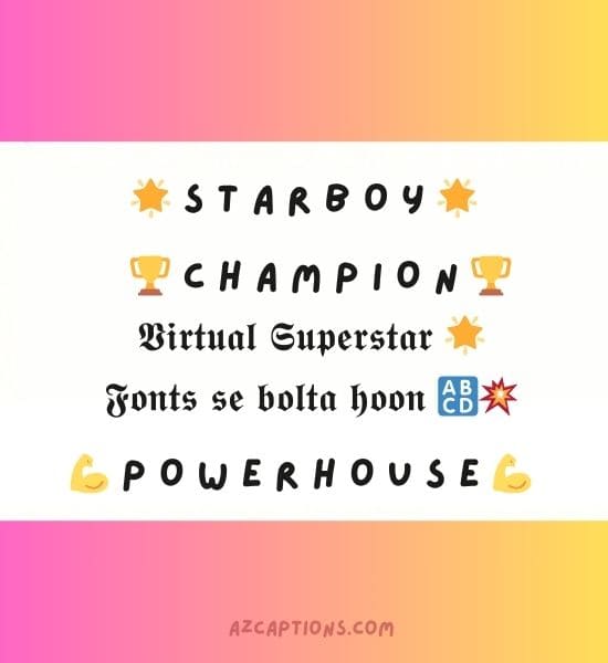 Instagram Bio for Boys Stylish Font