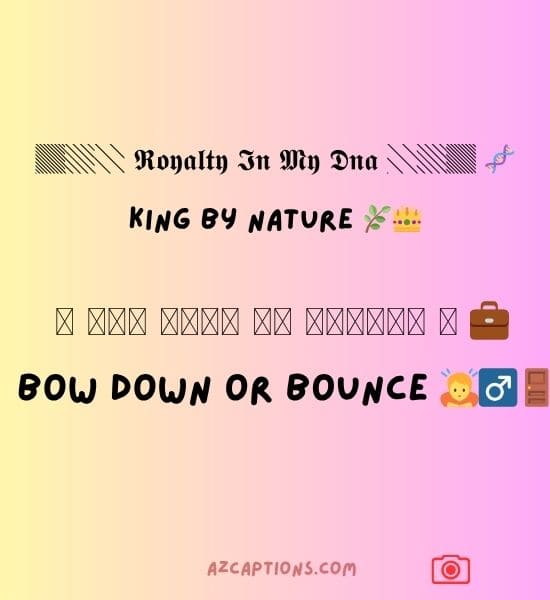 Instagram VIP Bio For Boy King