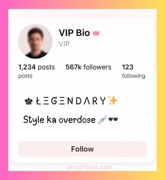 Instagram VIP Bio Stylish