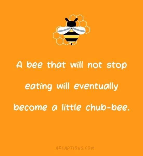 Short bee puns