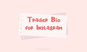 Trader Bio for Instagram