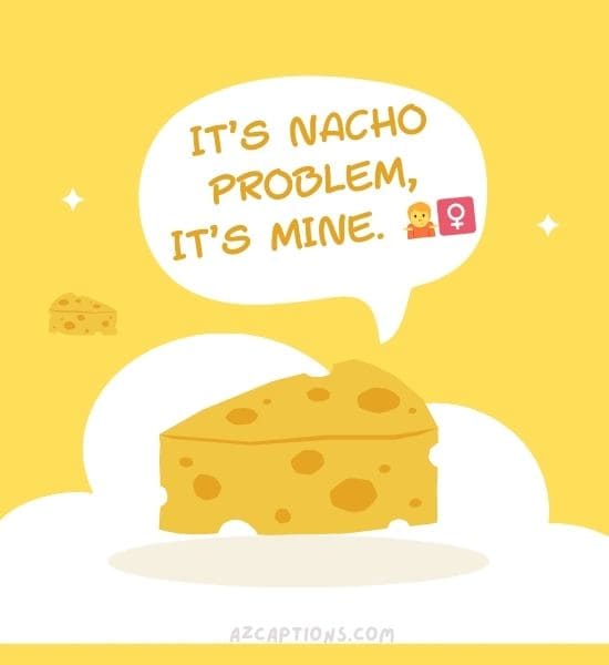 Cheese Puns One-liners
