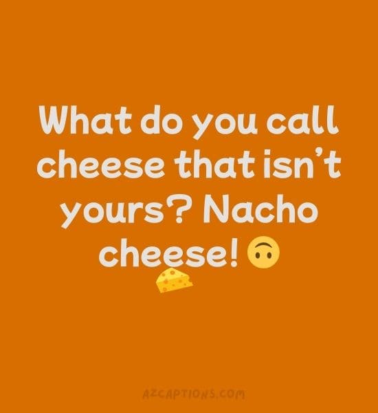 Funny Cheese Puns