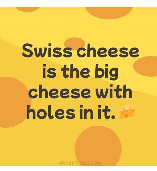Swiss Cheese Puns
