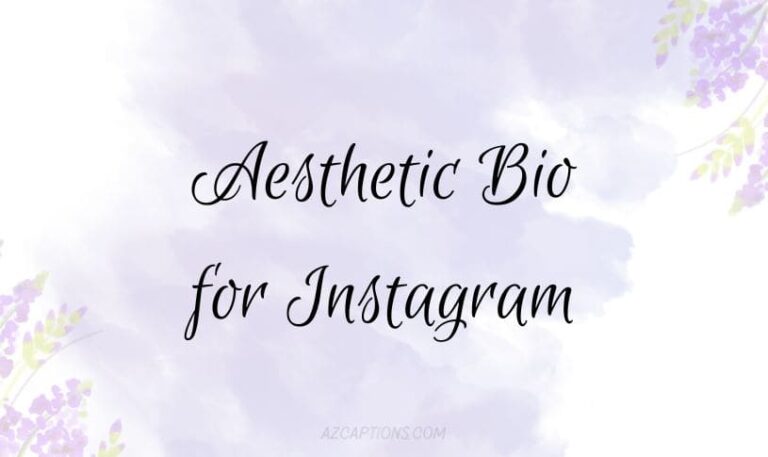 Aesthetic Bio for Instagram
