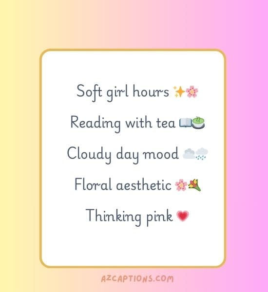 Instagram Notes Ideas Aesthetic