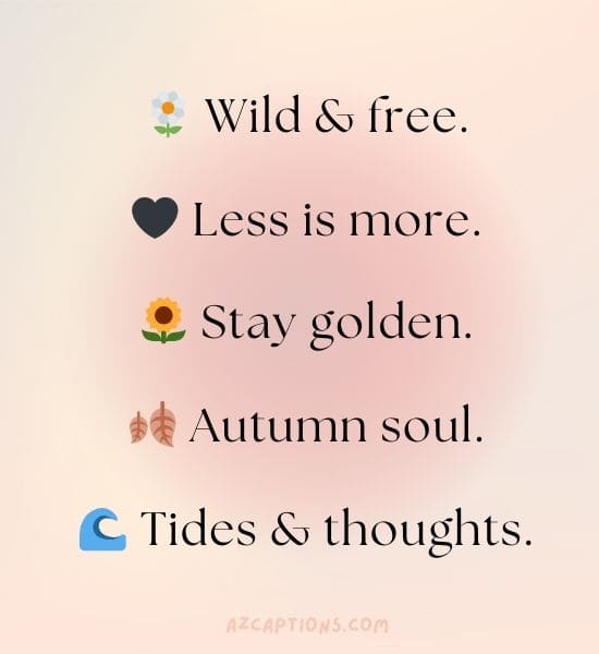 Short Aesthetic Bio for Instagram