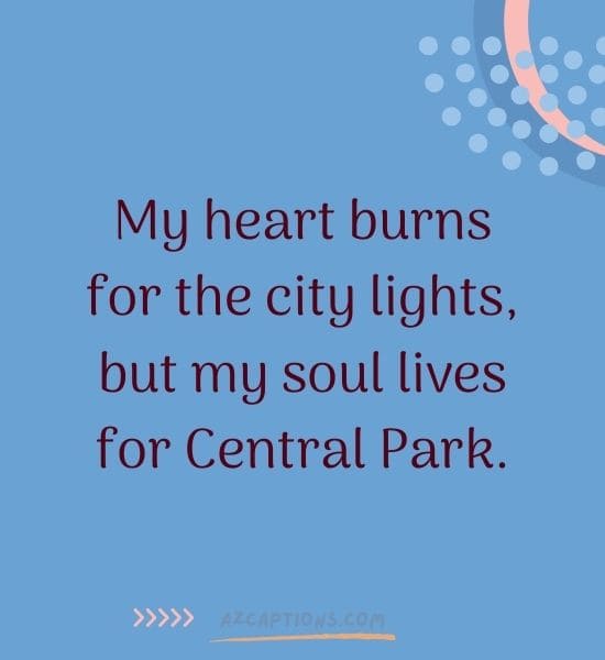 Central Park Nyc Instagram Captions