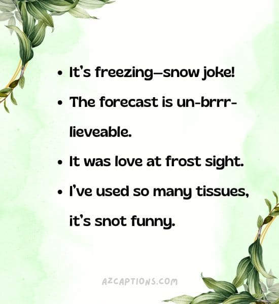 Short Winter Captions