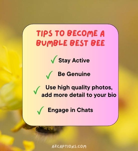 Tips to Become a Bumble Best Bees